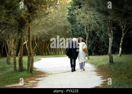 Un couple des promenades dans le parc. Vue de dos, sac, sac à main. Banque D'Images