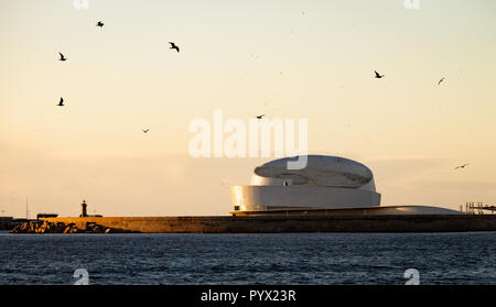 Les mouettes volent au-dessus du Terminal des croisières en Matosinhos. Après-midi, lumière chaude. Banque D'Images