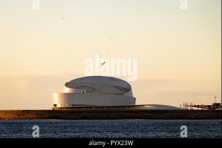 Les mouettes volent au-dessus du Terminal des croisières en Matosinhos. Après-midi, lumière chaude. Banque D'Images