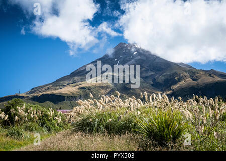 Vue panoramique du Mont Taranaki en parc national d'Egmont, en Nouvelle-Zélande Banque D'Images