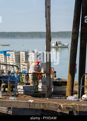 La vente de transport quotidien au homard Ripley Cove, Maine, USA. Banque D'Images