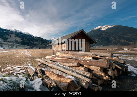 Pile de couper les troncs d'arbres à proximité d'une cabane en bois, au pied des Alpes autrichiennes, avec la neige autour, près de Ehrwald, Autriche. Contexte Les préparatifs d'hiver. Banque D'Images