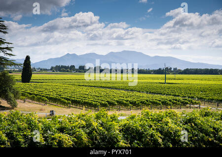 Vue panoramique de vin de Marlborough en Nouvelle-Zélande destination Banque D'Images