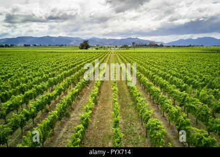 Vue panoramique de vin de Marlborough en Nouvelle-Zélande destination Banque D'Images