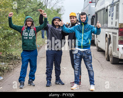 BERKASOVO, SERBIE - 17 octobre 2015 : les réfugiés, les jeunes hommes à partir de la Syrie et l'Afghanistan, l'article & posant devant le bus qui les a amenés à la b Banque D'Images