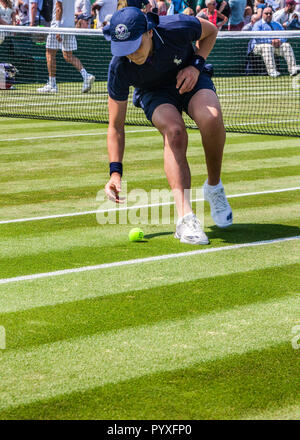 Ball boy se penche pour ramasser une balle de tennis sur le court de tennis de Wimbledon chapionship Banque D'Images