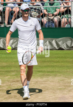 Jaimy Murray wimbledon Banque D'Images