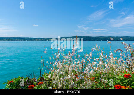 L'Allemagne, beaucoup de fleurs en fleurs de couleurs différentes en face de bleu de l'eau du lac de Constance Banque D'Images