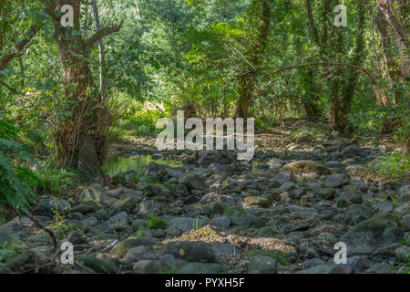 Rivière Thème, rivière en montagne, avec des rochers et végétation et image miroir dans l'eau au Portugal Banque D'Images