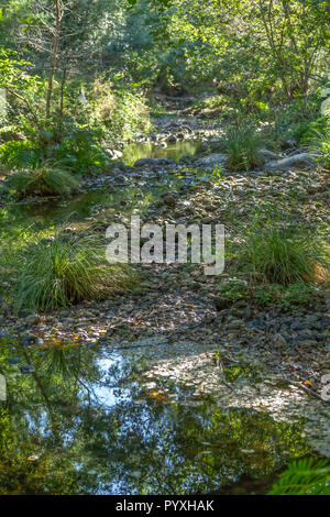 Rivière Thème, rivière en montagne, avec des rochers et végétation au Portugal Banque D'Images