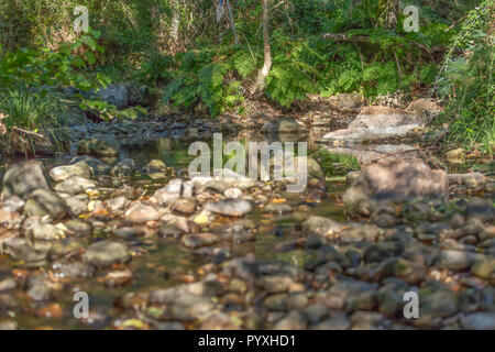 Rivière Thème, rivière en montagne, avec des rochers et végétation au Portugal Banque D'Images