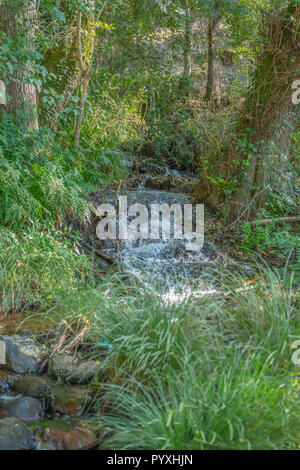 Rivière Thème, rivière en montagne, avec des rochers et végétation au Portugal Banque D'Images