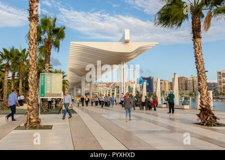 El Palmeral De Las Sorpresas, Malaga, Andalousie, Espagne Banque D'Images