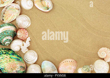 Sélection de coquillage de nacre de coquillages et de corail sur le sable de la plage avec copie espace, Banque D'Images