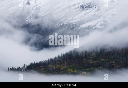 Gamme Ottertail, Yoho NP, British Columbia, Canada, par Bruce Montagne/Dembinsky Assoc Photo Banque D'Images