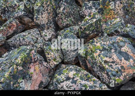 Rochers couverts de lichen, Jonas Rock Slide, Jasper NP, Alberta, Canada, par Bruce Montagne/Dembinsky Assoc Photo Banque D'Images