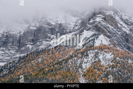 Couloir de passe-haut, Rocheuses canadiennes, l'Alberta, au Canada, par Bruce Montagne/Dembinsky Assoc Photo Banque D'Images