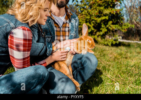 Vue partielle de l'homme agriculteur détenant alors que sa petite amie à l'écoute de lapin lapin par stéthoscope outdoors Banque D'Images