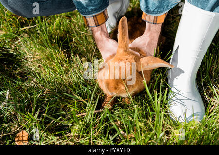 Portrait de l'homme agriculteur détenant l'extérieur lapin brun Banque D'Images