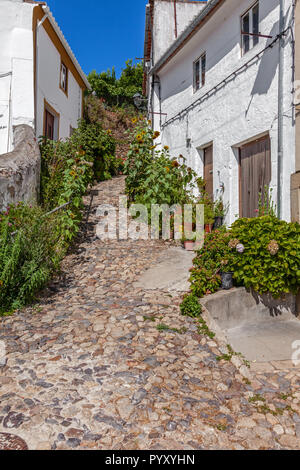 Rues médiévales de la le Judiaria, le Quartier Juif ou ghetto à Castelo de Vide, Alto Alentejo, Portugal Banque D'Images