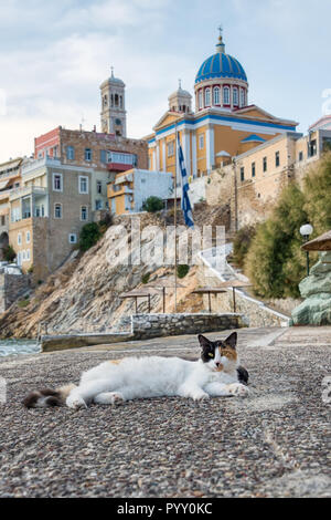 Chat posant sur une rue près de la mer en vue de la ville pittoresque d'Ermoupoli les belles églises de l'île de Syros, dans les Cyclades, Grèce Banque D'Images