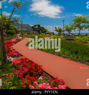 Des fleurs colorées dans le parc,Praça do Povo, Avenida do Mar, Funchal, Madeira, Portugal Banque D'Images