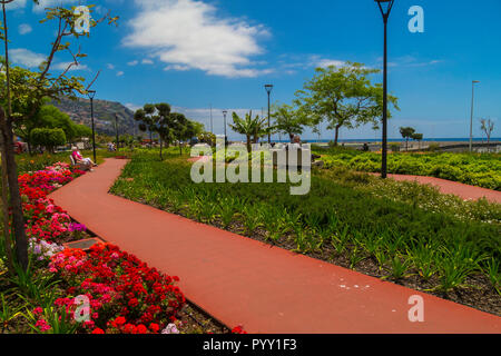 Parc Povo, Funchal, Madeira, Portugal Banque D'Images