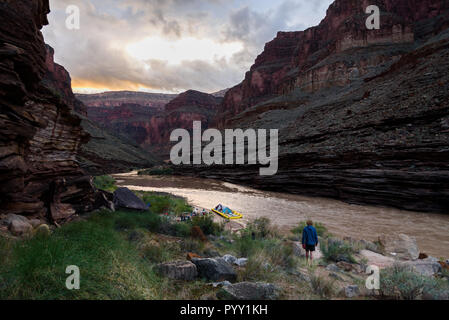 À pied près du fleuve Colorado, du parc national du Grand Canyon, États-Unis Banque D'Images