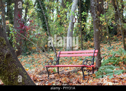 Un banc de parc rouge solitaire se trouve parmi les arbres. Banque D'Images