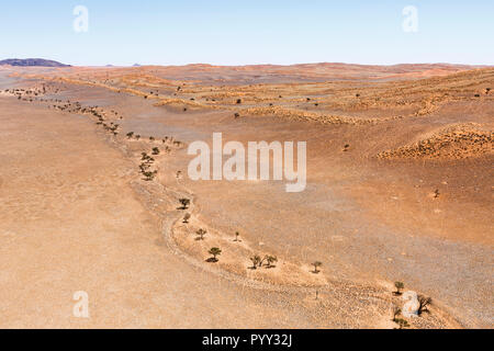 Vue aérienne, la ligne des arbres le long de la rivière desséchée, contreforts du désert du Namib, Namibie, Namib-Naukluft National Park Banque D'Images