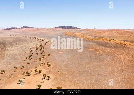 Vue aérienne, la ligne des arbres le long de la rivière desséchée, contreforts du désert du Namib, Namibie, Namib-Naukluft National Park Banque D'Images