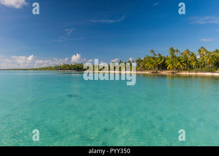 Plage de sable fin bordée de cocotiers dans les eaux turquoises de Tikehau, Tuamotu, Polynésie Française Banque D'Images