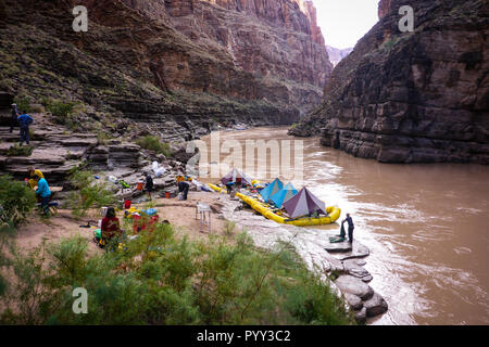 Rafting, Grand Canyon, Colorado, Arizona, USA. Banque D'Images