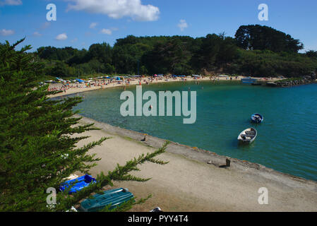 Côte, mer, plage et bateaux sur l'île du Moine en Bretagne dans le Morbihan. la France Banque D'Images