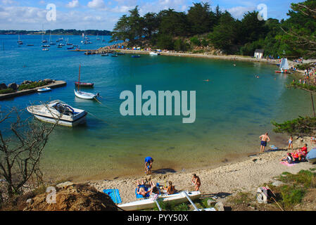 Côte, mer, plage et bateaux sur l'île du Moine en Bretagne dans le Morbihan. la France Banque D'Images