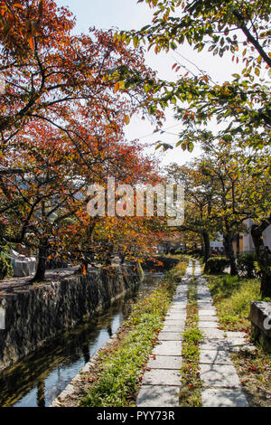 La Promenade du Philosophe à Kyoto au cours de l'automne Banque D'Images