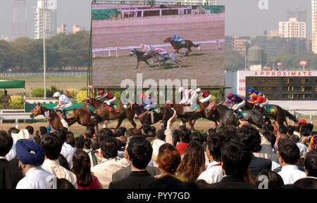 Les courses de chevaux foule à Mahalaxmi Race Course, Mumbai, Inde, Asie Banque D'Images