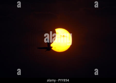 Éclipse solaire, vol d'oiseau, Bombay, Mumbai, Maharashtra, Inde, Asie Banque D'Images