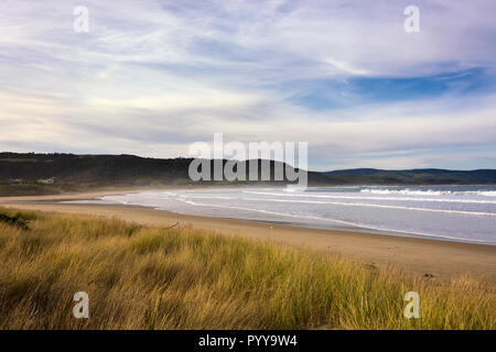 Vue sur la baie de Curio Bay dans la Catlins, Nouvelle-Zélande, île du Sud, à proximité de la forêt pétrifiée. Un paysage de plage très calme. Banque D'Images