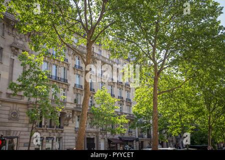 France, Ile de France, Paris 7ème arrondissement, Paris, 17 boulevard Raspail, post-haussmanniens, bâtiment en pierre de taille, Banque D'Images