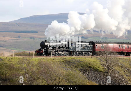 Stanier 8F machine à vapeur conservés sur Dalesman train spécial le 30 octobre 2018 sur le quai après le viaduc de Ribblehead sur s'installer à Carlisle railway. Banque D'Images