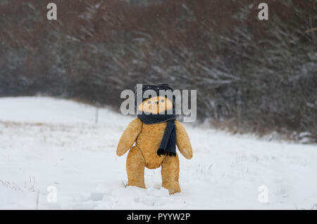 Ours promenades dans la forêt d'hiver - randonnées ou scène liés au voyage Banque D'Images