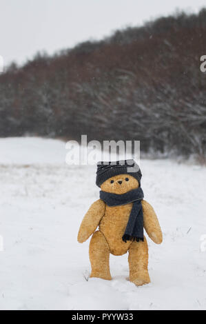 Ours promenades dans la forêt d'hiver - randonnées ou scène liés au voyage Banque D'Images