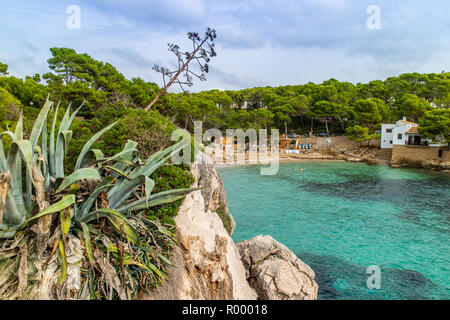 La plage de Cala Gat, et la baie de Cala Ratjada, Capdepera, Majorque, Îles Baléares, Espagne Banque D'Images