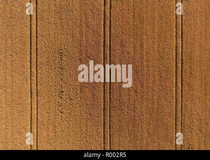 Une récolte de blé d'en haut Banque D'Images