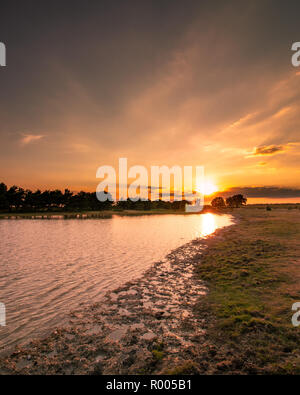 Golden Sunset over Hatchet étang dans le new forest Banque D'Images