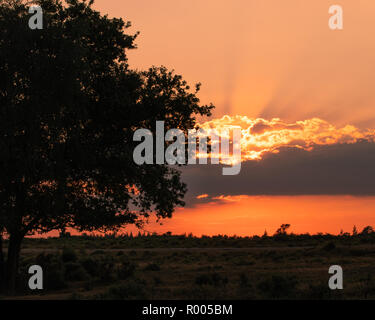 Coucher de soleil sur l'étang, Hachette nouvelle forêt avec les rayons de lumière se reflétant dans l'eau Banque D'Images