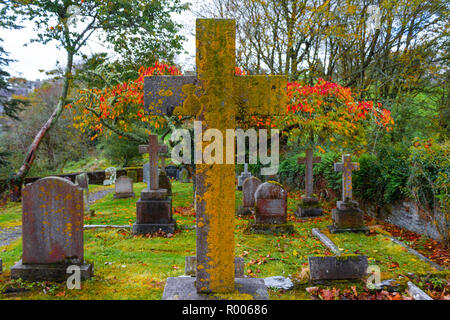 Lichen jaune lichens poussant sur une pierre tombale dans un cimetière cimetière ou à l'automne Banque D'Images