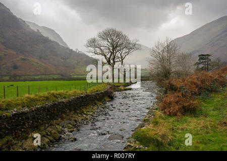 La Derwent in Borrowdale avec Seathwaite est tombé au-delà. Parc National de Lake District, Cumbria, Angleterre. Banque D'Images