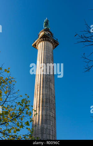 Colonne de Wellington (Waterloo Memorial), St George;s Hall, Liverpool, Merseyside Banque D'Images